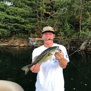 Meet your Posher, Will